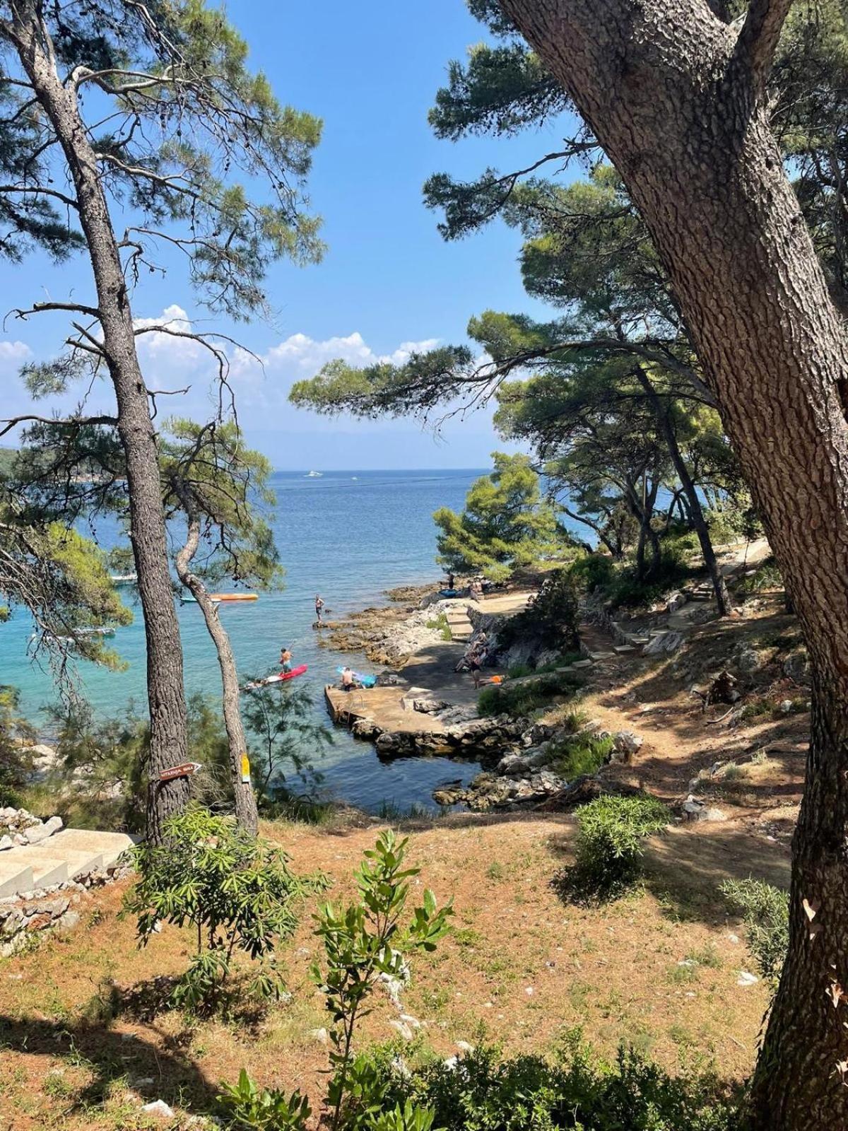 Stone Hvar Ana & Nikola Park & Sea View *